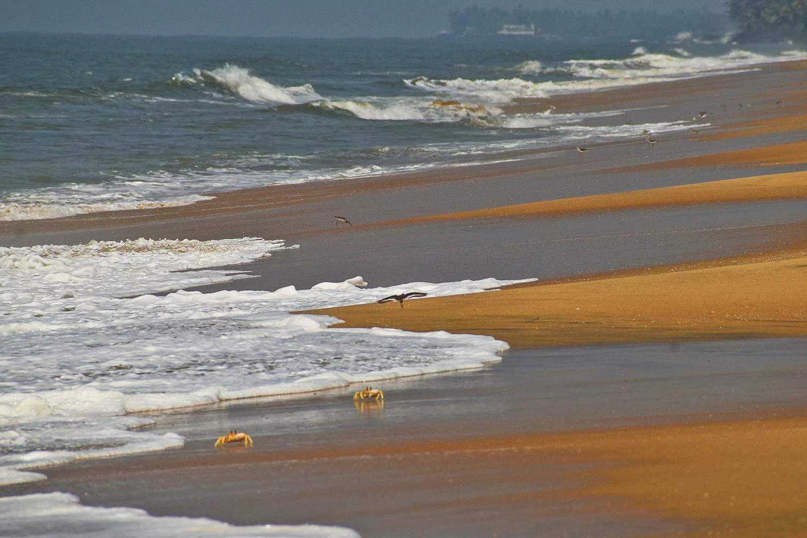 Vypin Beach, Kerala
