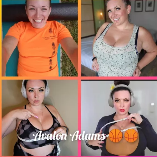 what have we here? progression.