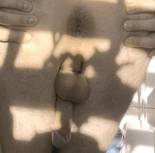 Who would keep me naked on a leash 🤤😅?