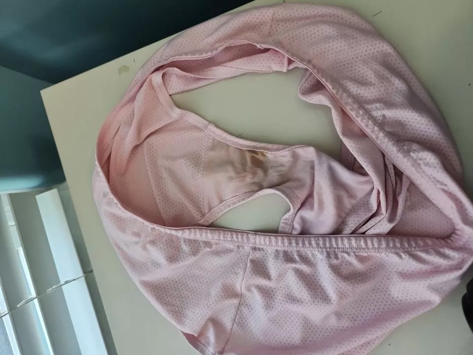 wife's disgusting panties