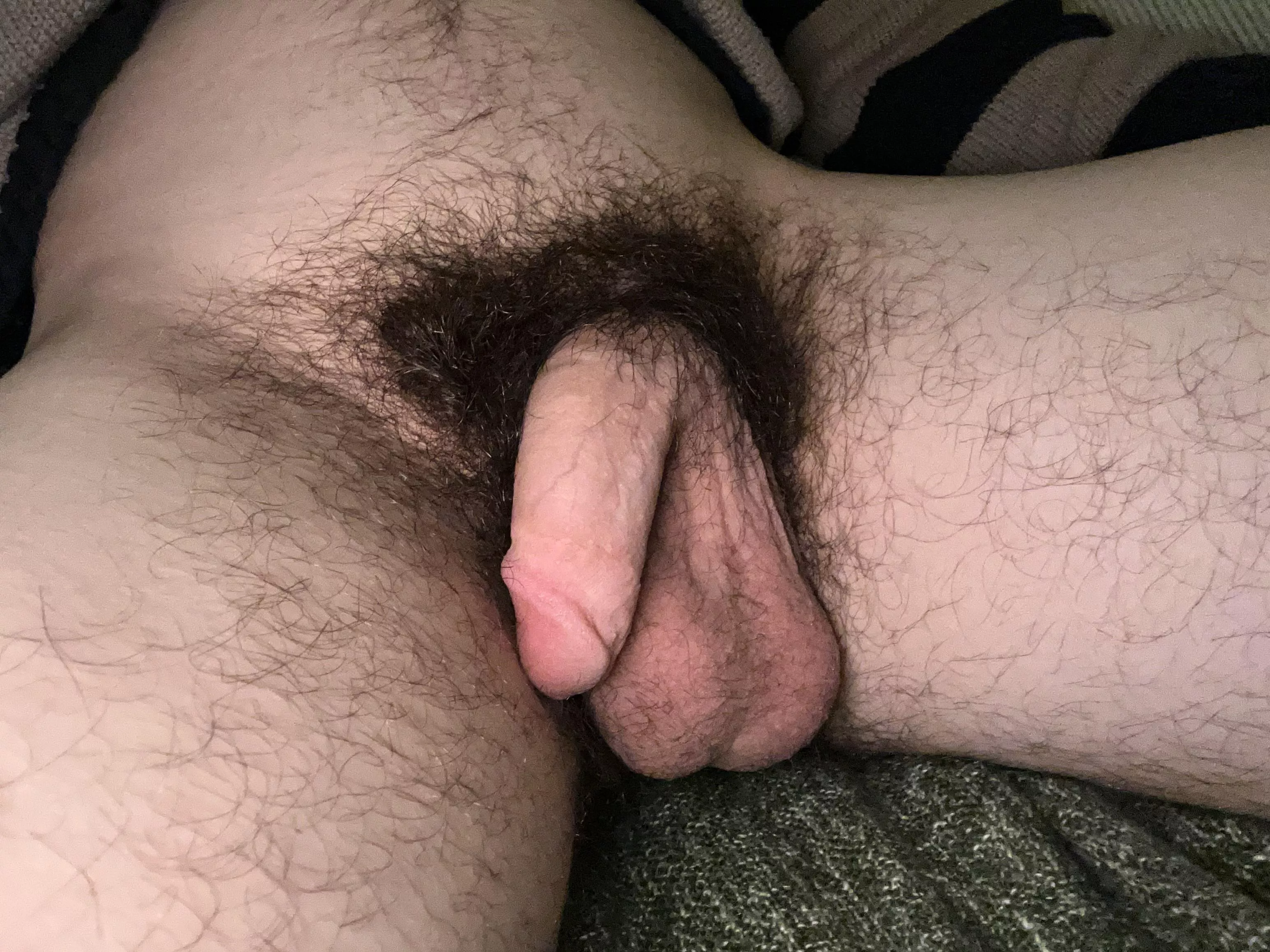 19 soft and bushy