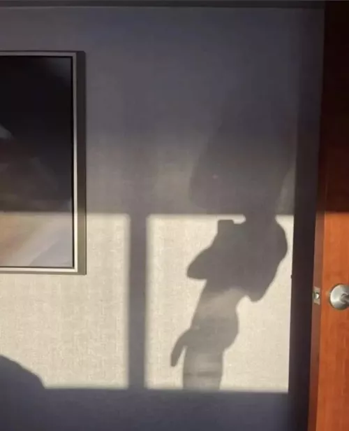 8” Uc 4 muscle pm me