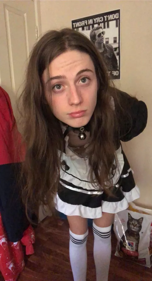 Are maid dresses still in?