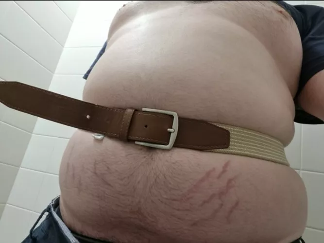 Big belted perth belly needs to be stuffed and inflated