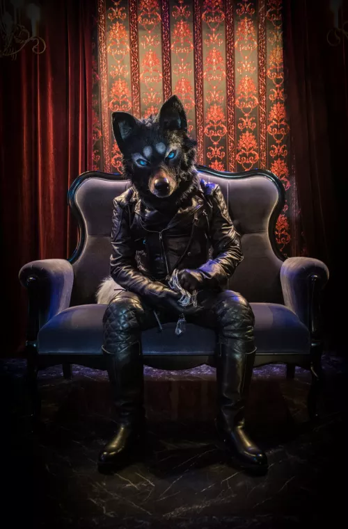 @catlion666 on Twitter (photo by @ashcan_wolf)