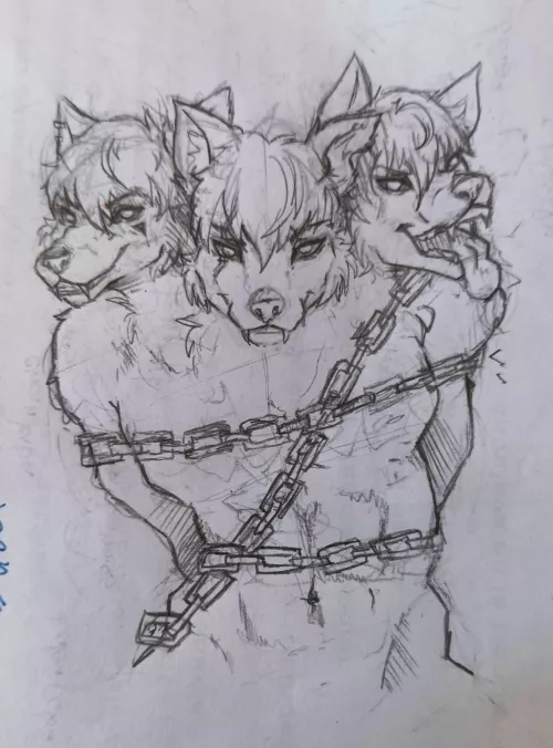 cerberus sketchy
