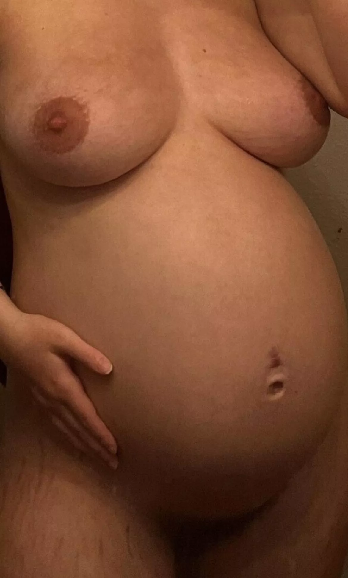 Cream pie nearly finished baking