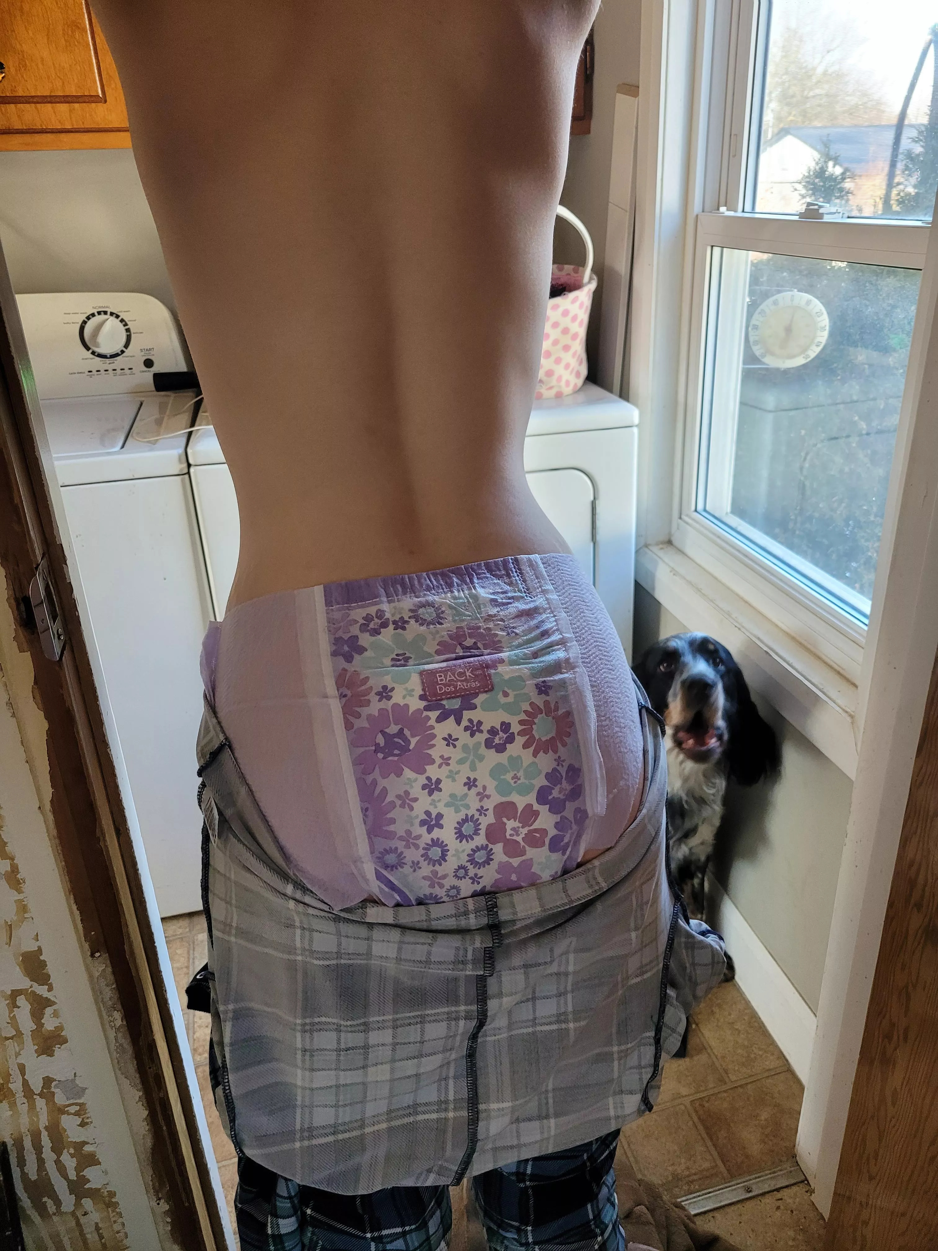 Diaper check time ⏲️ is princess dry, wet or messy?