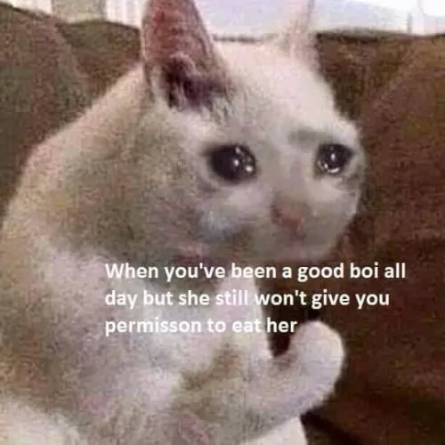 Feelsbadman 🥺