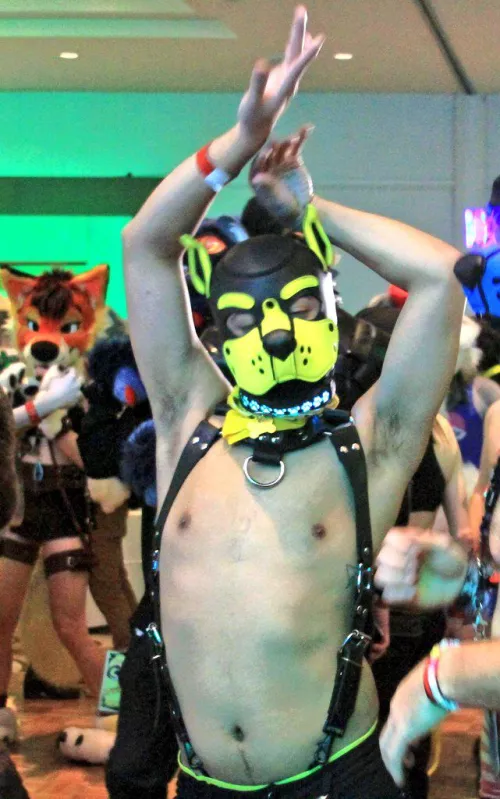 It's my cake day! 😋😋😋