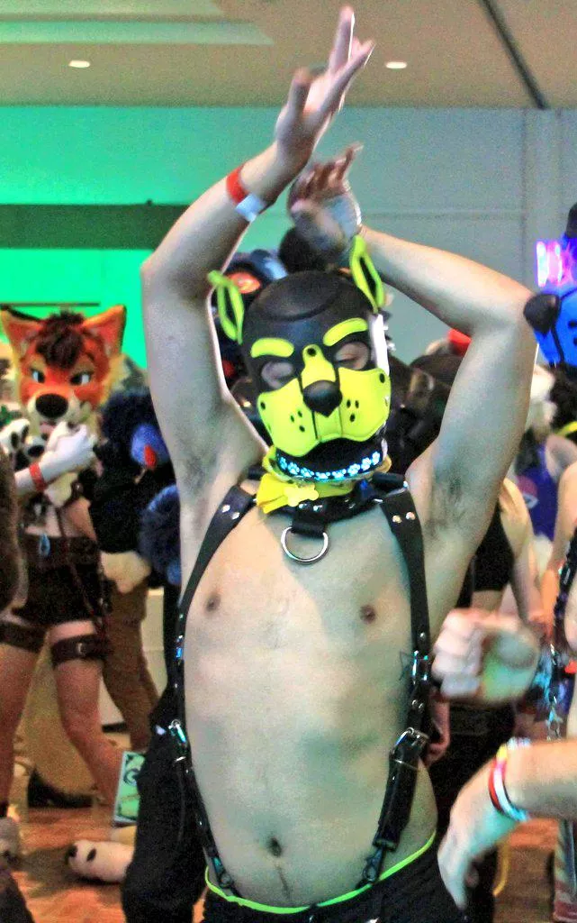 It's my cake day! 😋😋😋