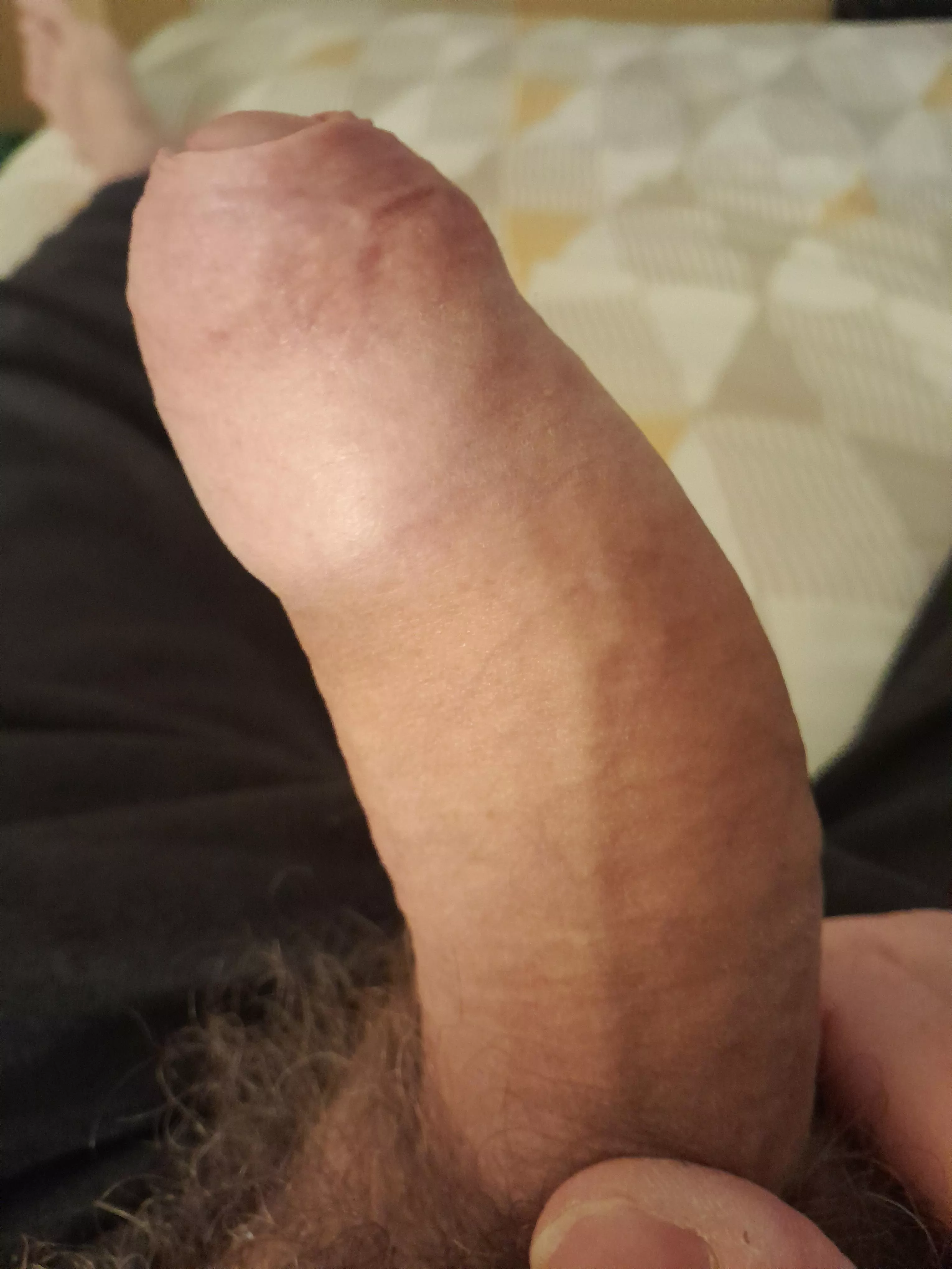 Just love showing off my cock