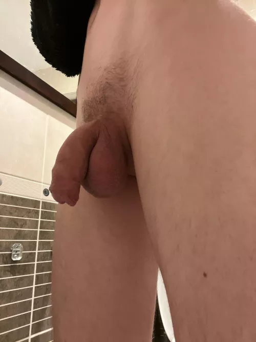 M19 soft