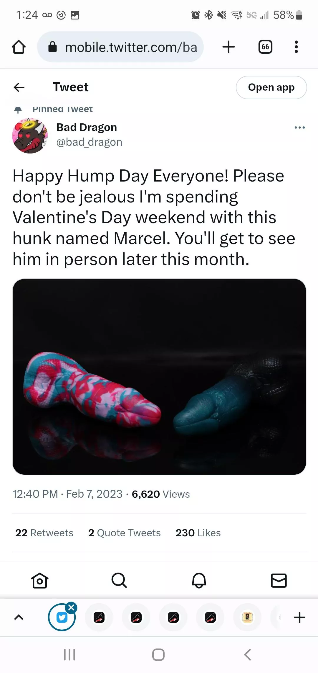 New toy, Marcel the Croc? coming in February