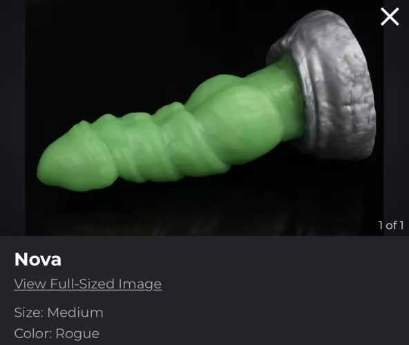 Nova the Grouch?? 🗑️ 🤔 😂