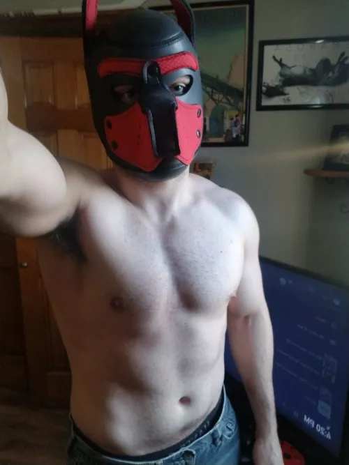 Really need another pup to play with....