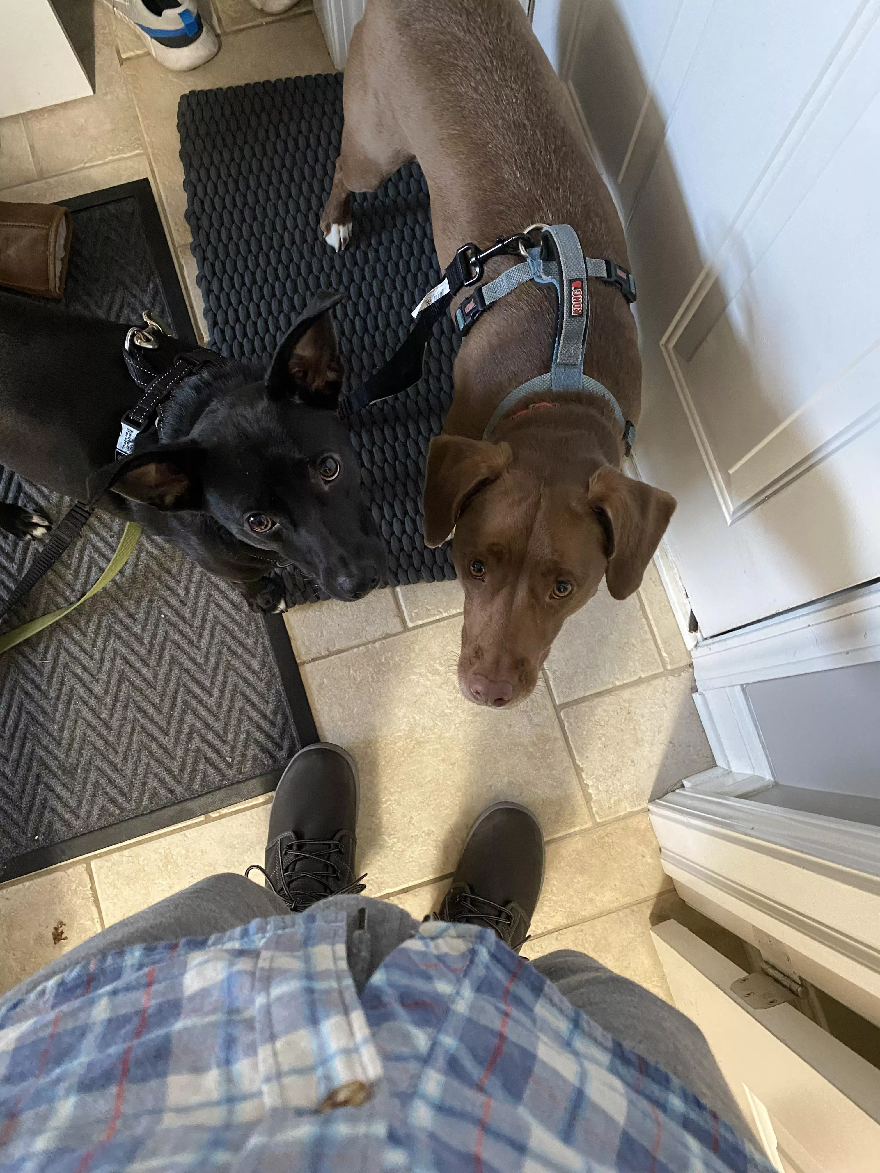 Sexy gray sweatpants