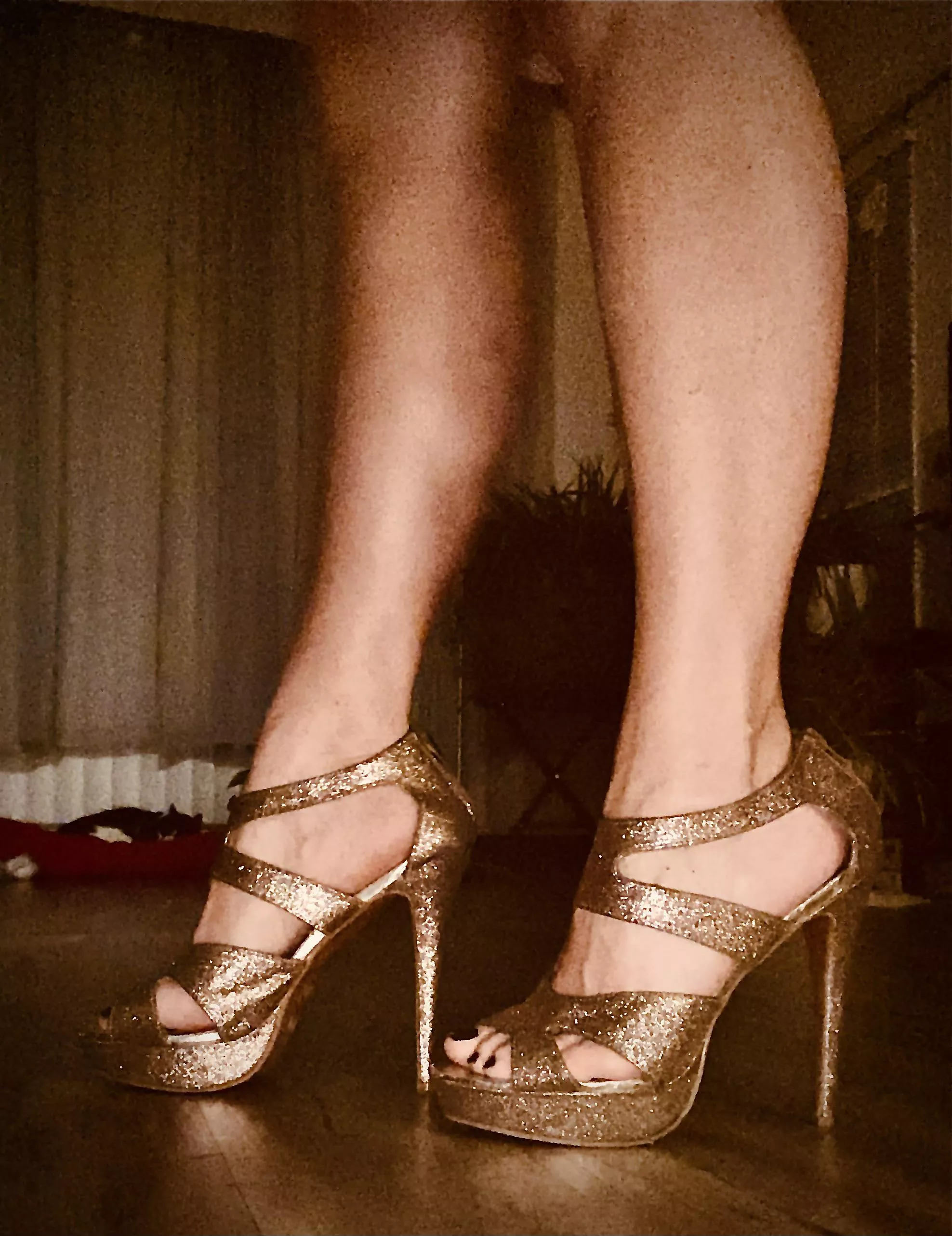 The only time I look down is to admire my shoes.