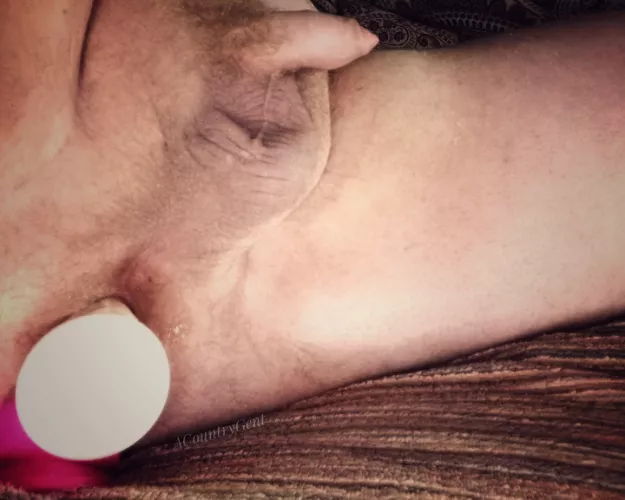 Time to move on to a bigger dildo. Horse or knot?