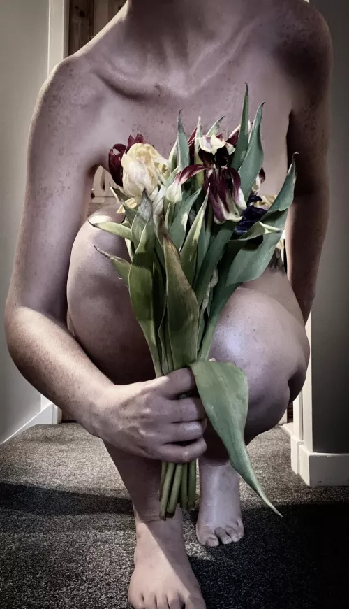 Tiptoe Through The Tulips..