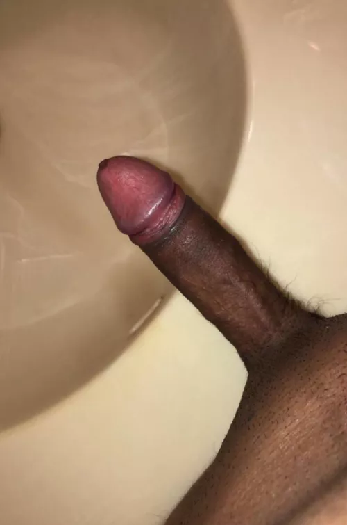 (19) who wants daddy to breed ♠️