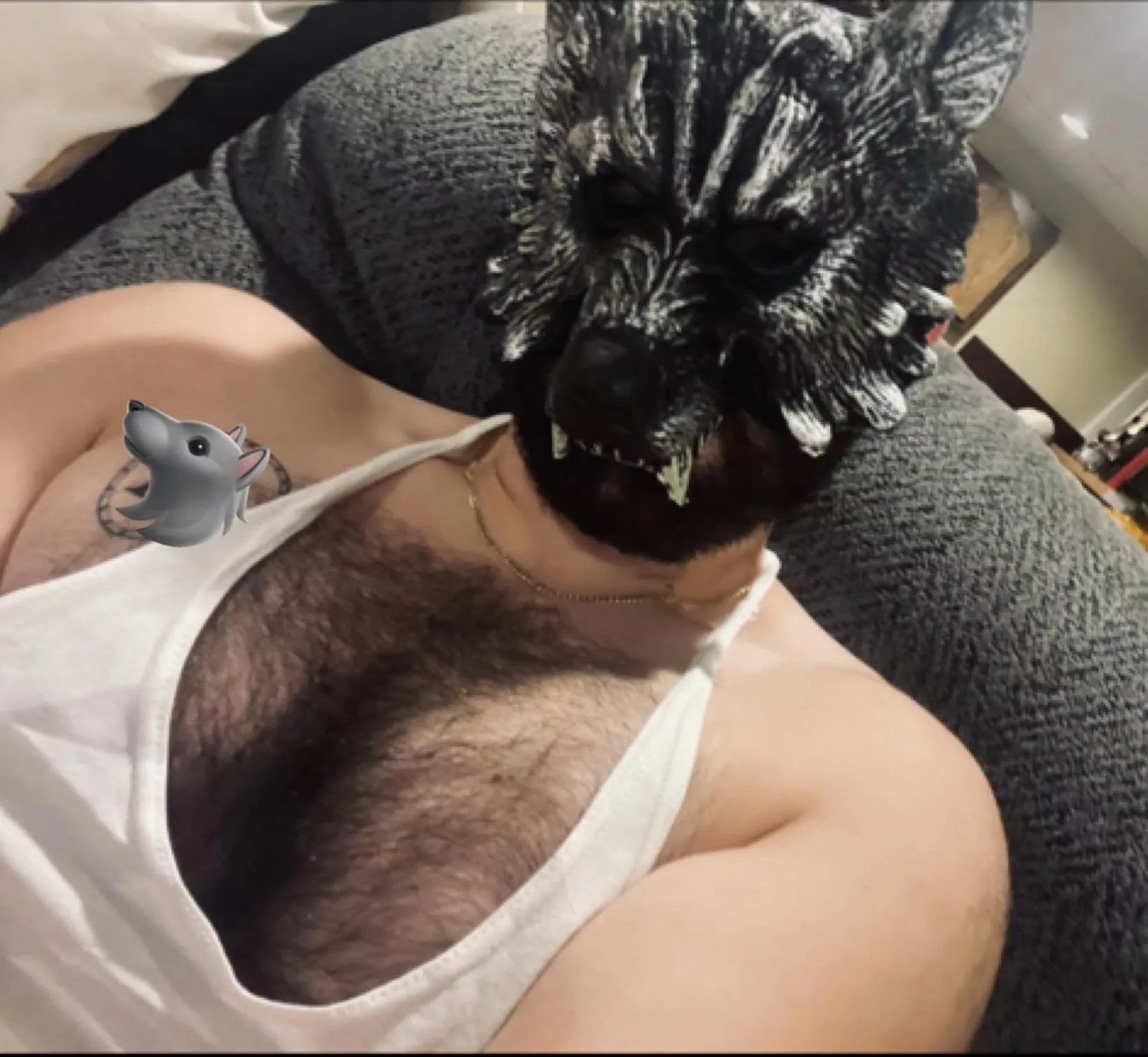 (20) used Halloween as an excuse to show off last year 🐺