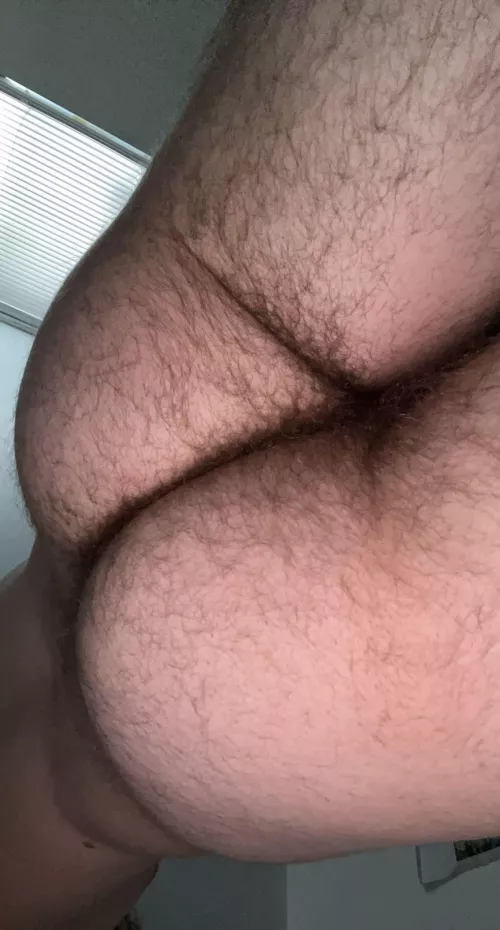 20 year old hairy ass!