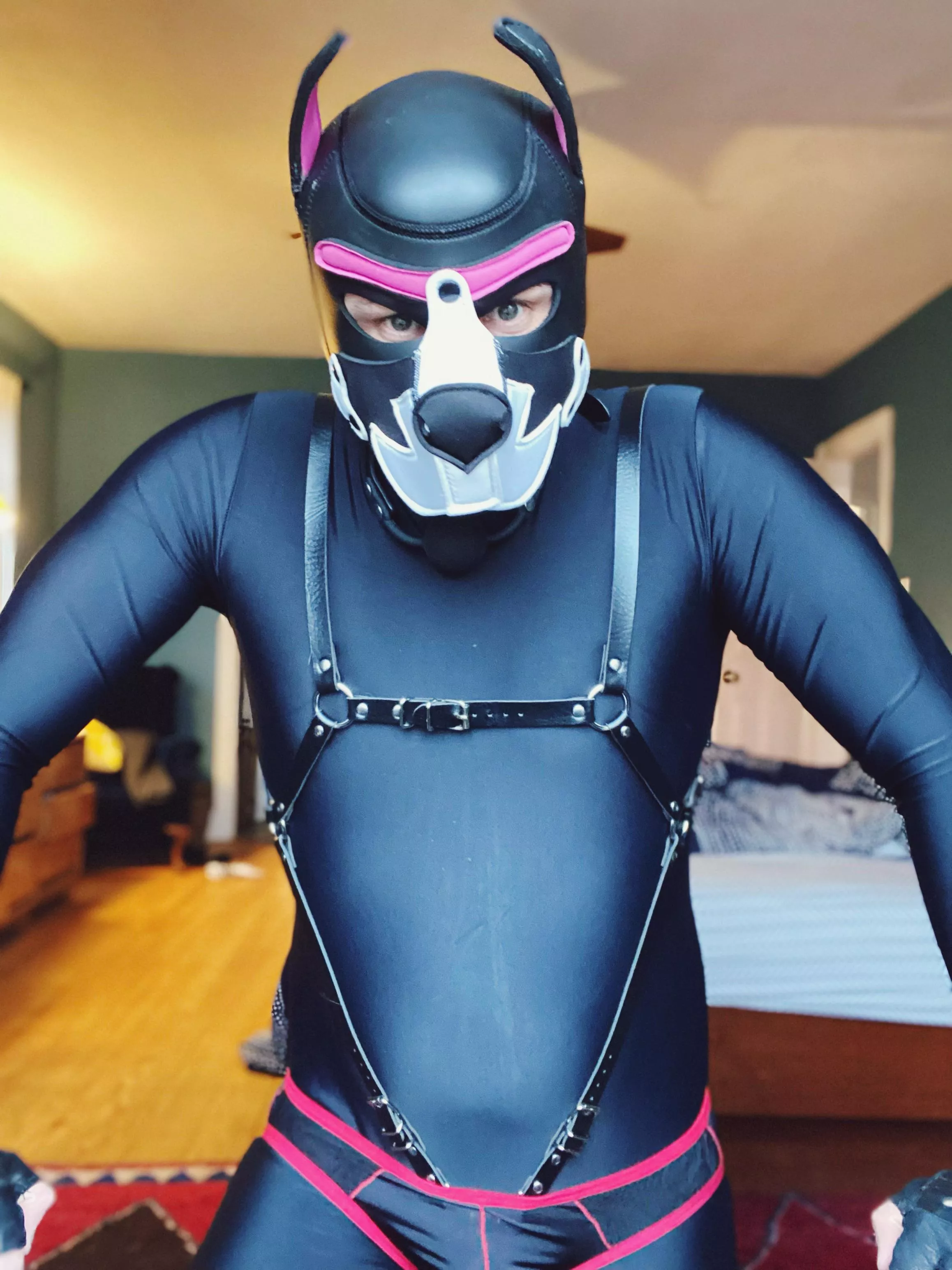 All geared up with no place to go