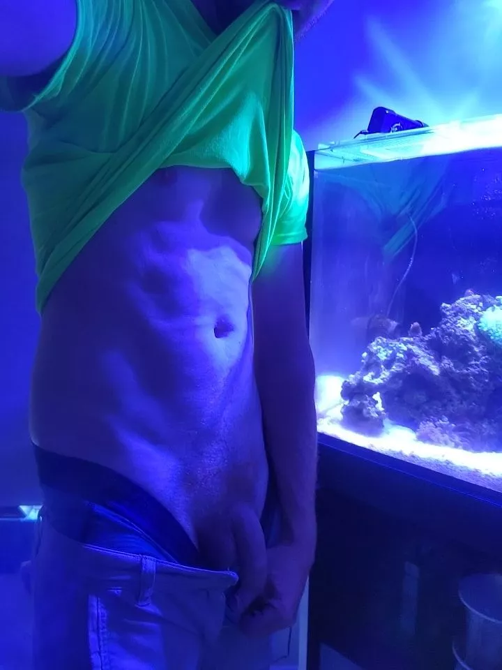 Always on the hunt for good light; even if it's from a fishtank