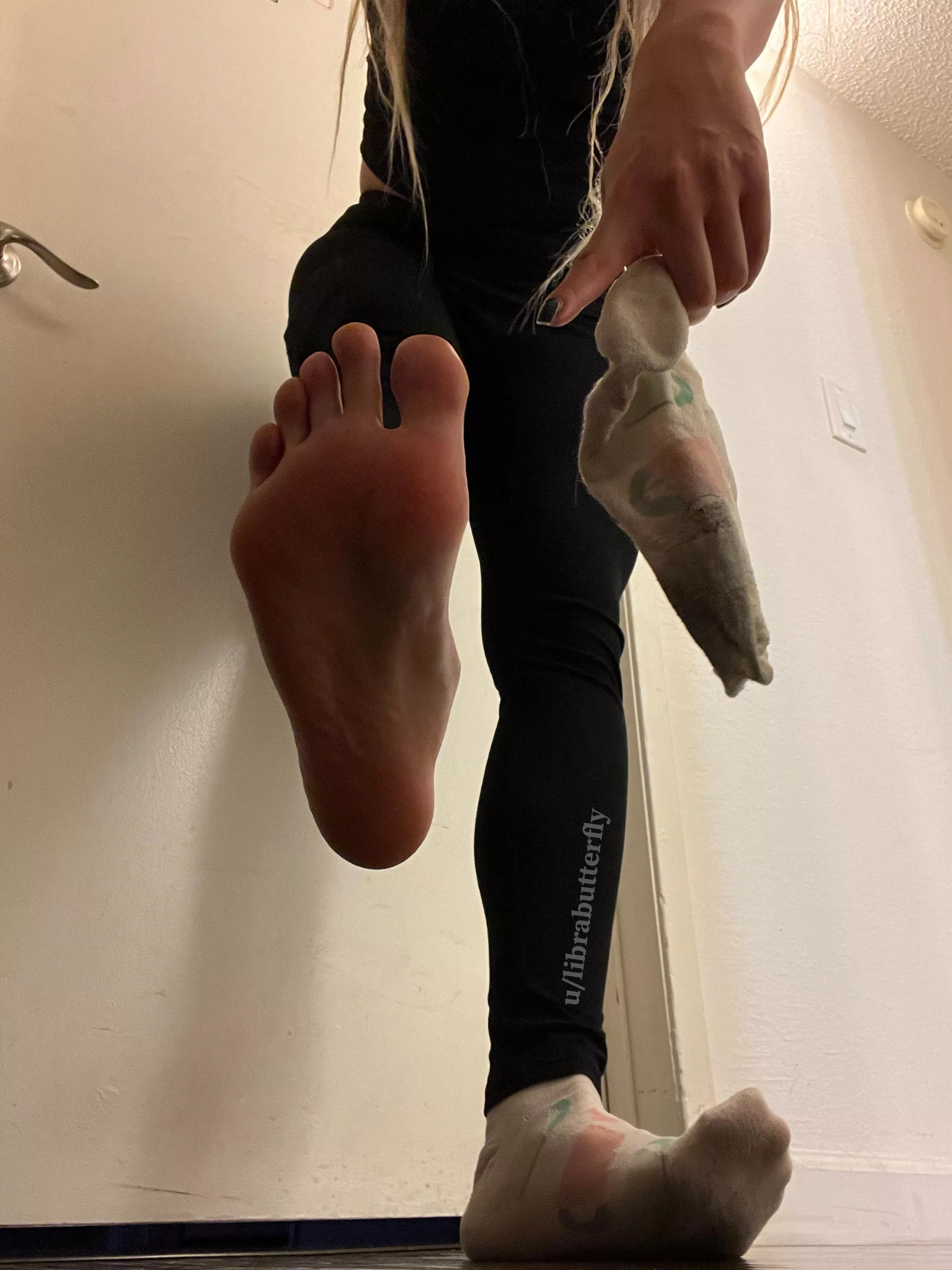 Come have a sniff 😚🧦