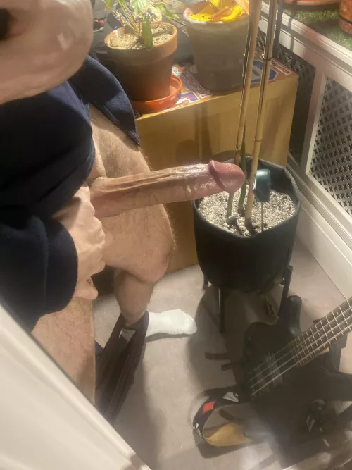 could you deep throat?