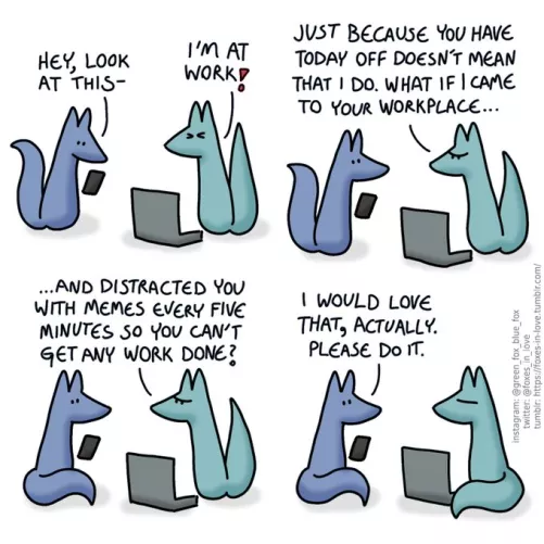 distractions (foxesinlove)