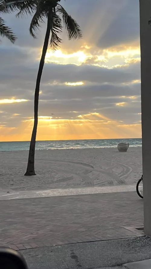 Good morning y'all🌅