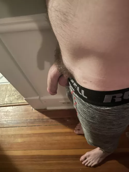 He didn’t hide after seeing his shadow