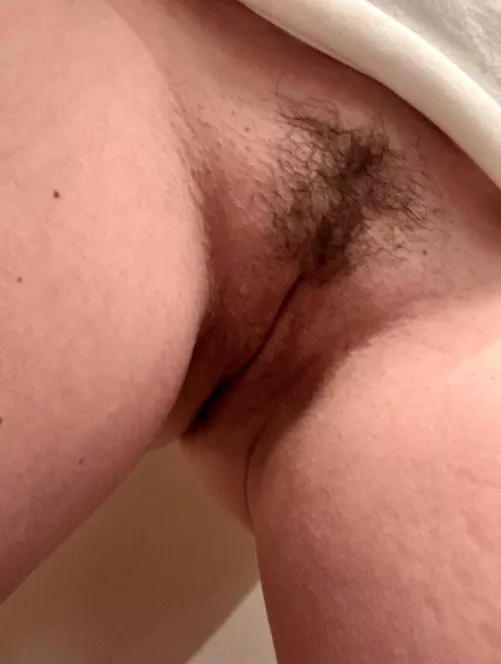 Hope you done mind a little bush on a tight innie