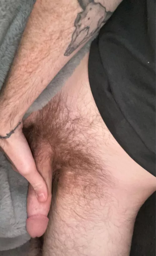 How’s everyone’s night?