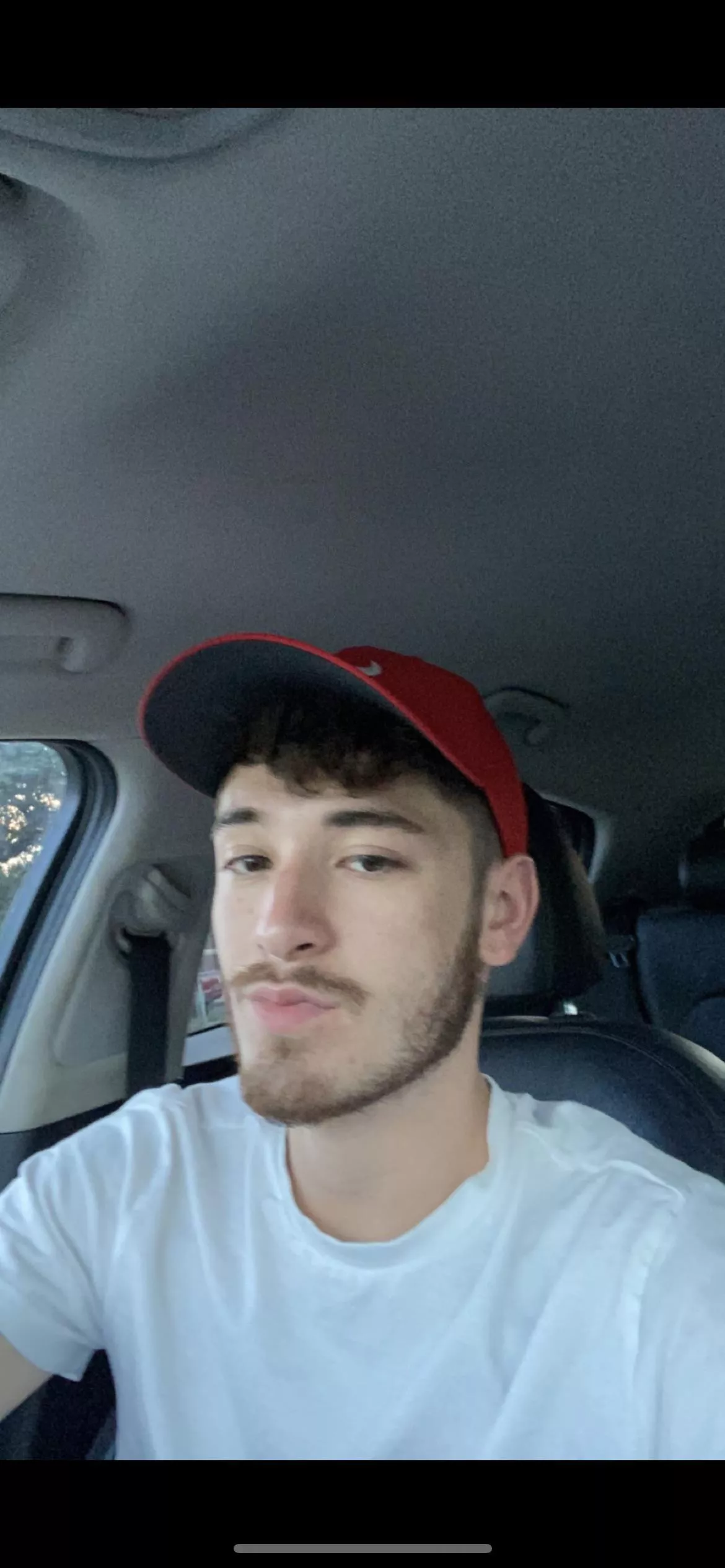 Looking for someone to chat with throughout the day and keep me company!