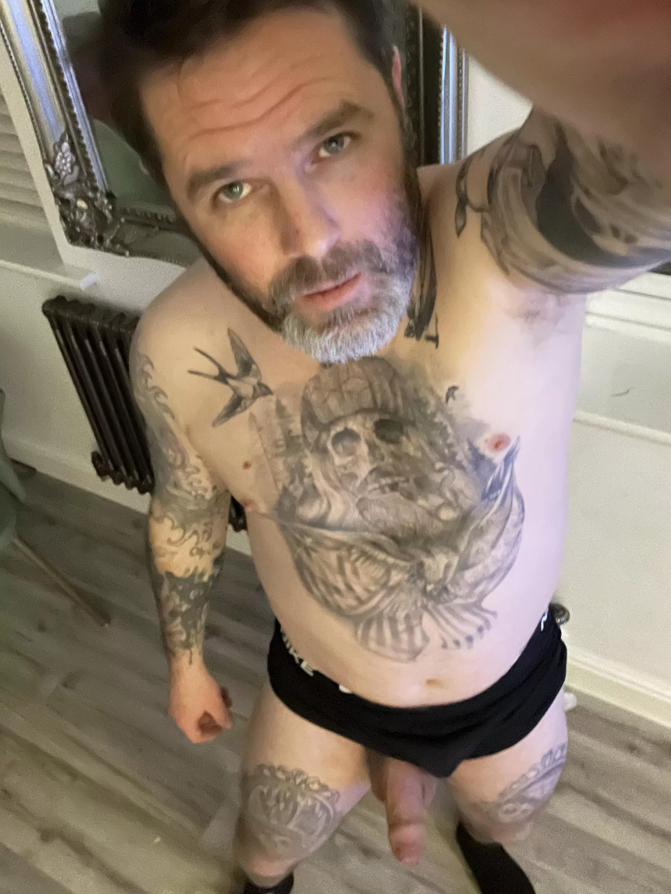 New boxers , thought I would show you [41]