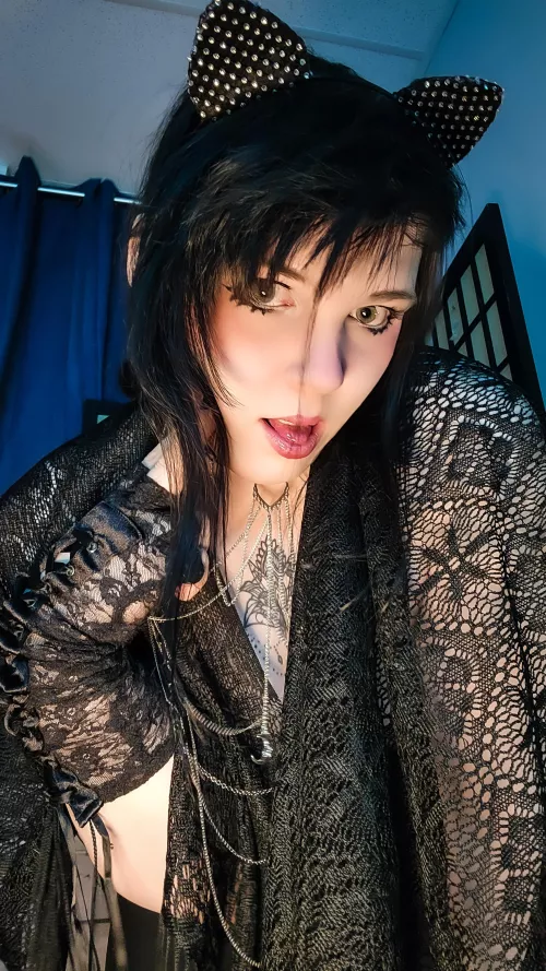 Some days I just feel like a cheeky little kitty who knows what she wants and goes for it. 😈