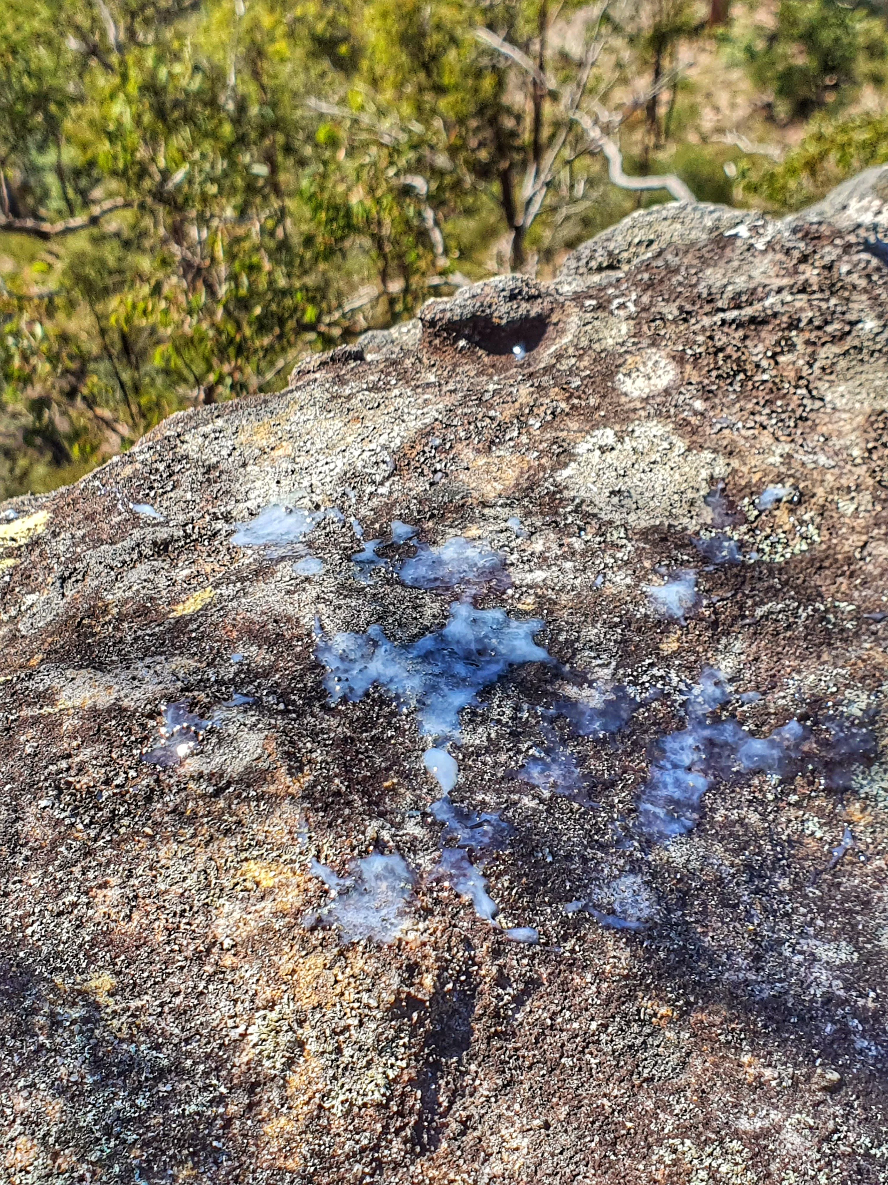 Take nothing but photos, leave nothing but f̶o̶o̶t̶p̶r̶i̶n̶t̶s̶ a puddle of cum