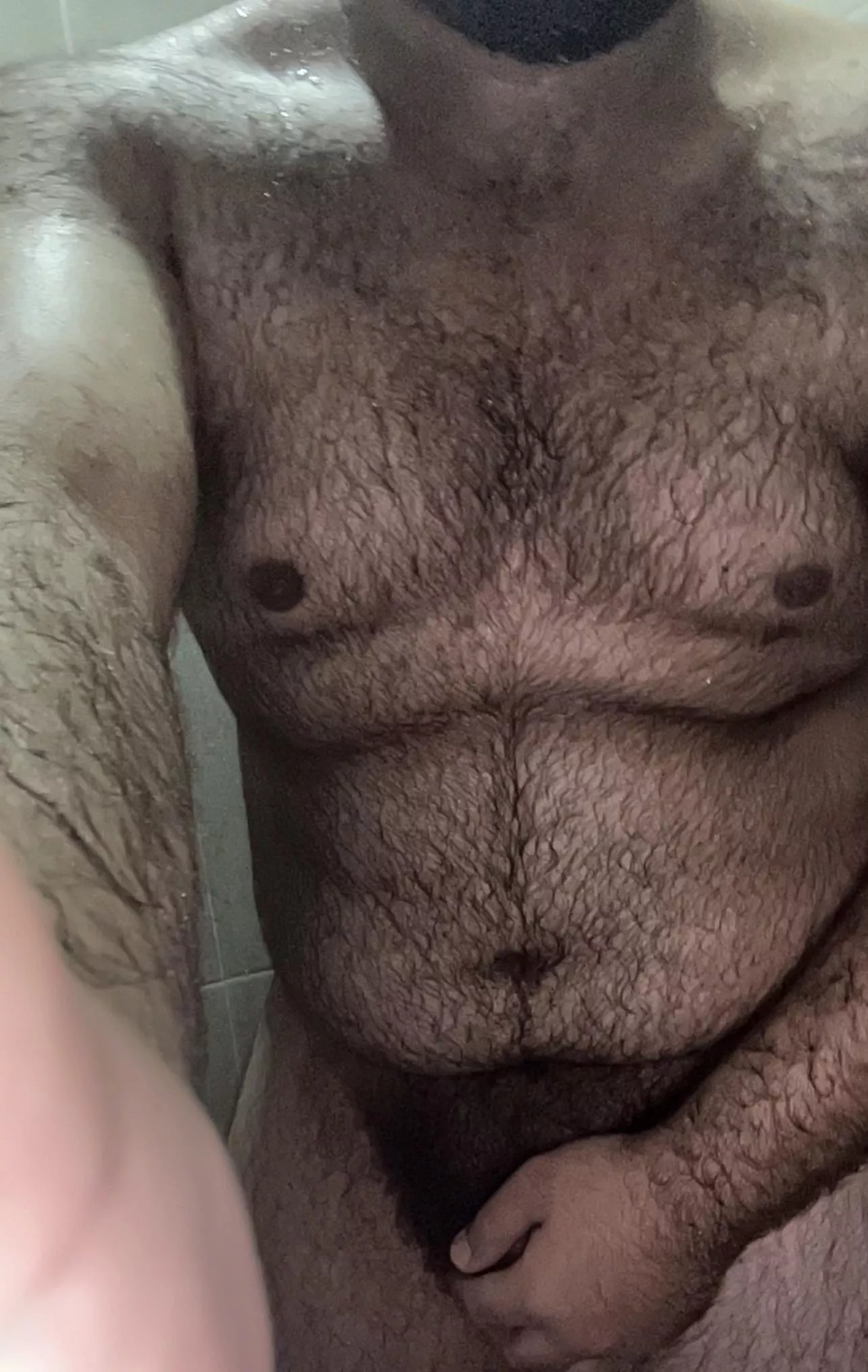 Who wants to own this 20 year old bear