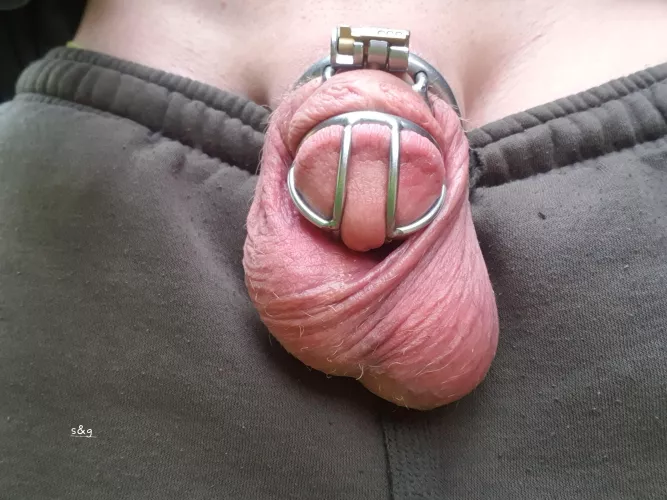 243 day's pussy free