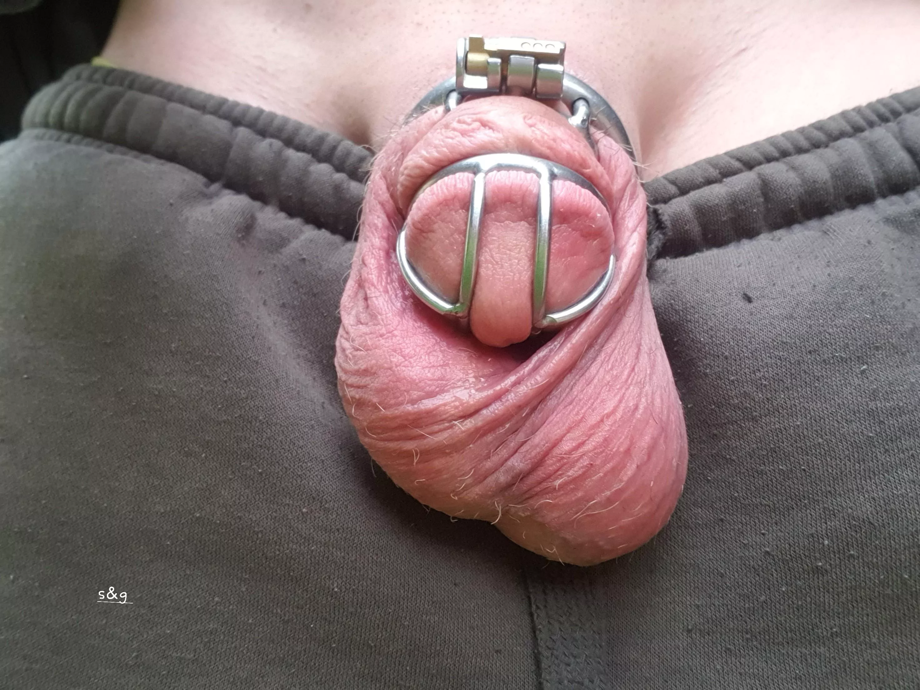 243 day's pussy free