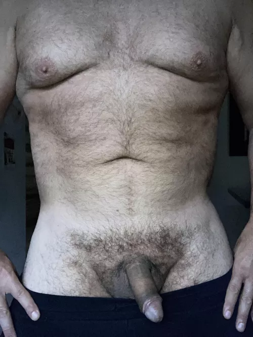 50, this bear wants your cum