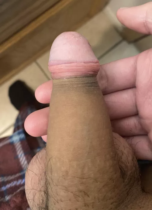 Anyone wanna play with my little dick