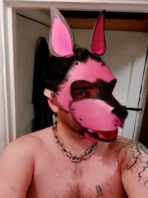 Got bored so I made my own Pup mask. :P