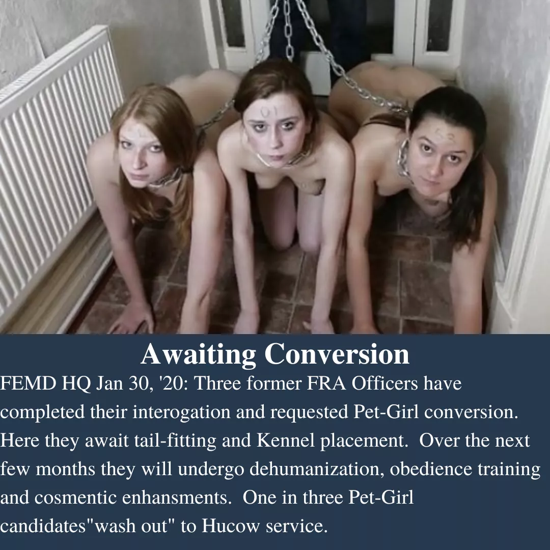 Inside the Empire Pt 15