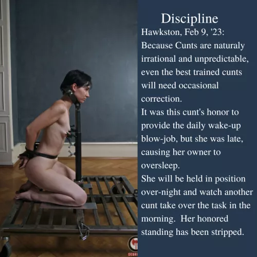 Inside the Empire Pt 17