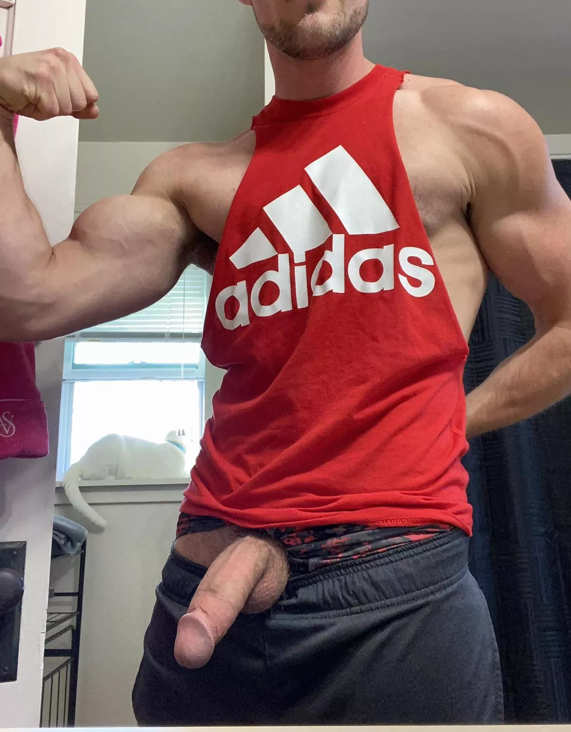 Soft heavy pink cock