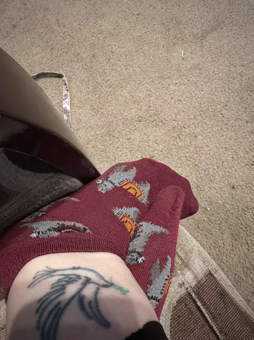 The llamas say good morning!